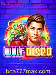 Explorando o Mundo de WolfDisco: O Que Você Precisa Saber